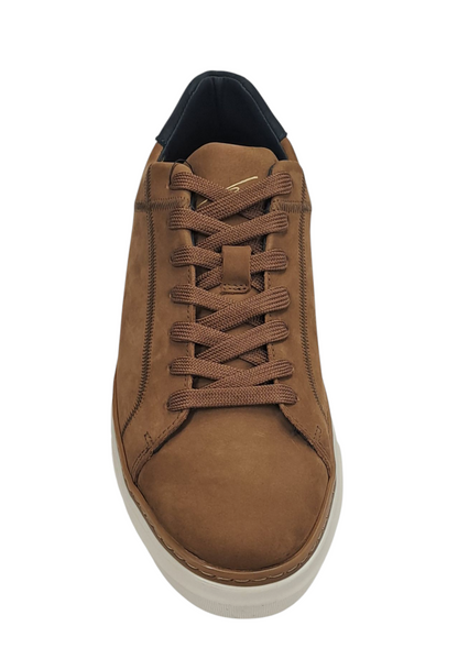 Lloyd & Pryce Cubelli Casual Trainer - Soft Umber