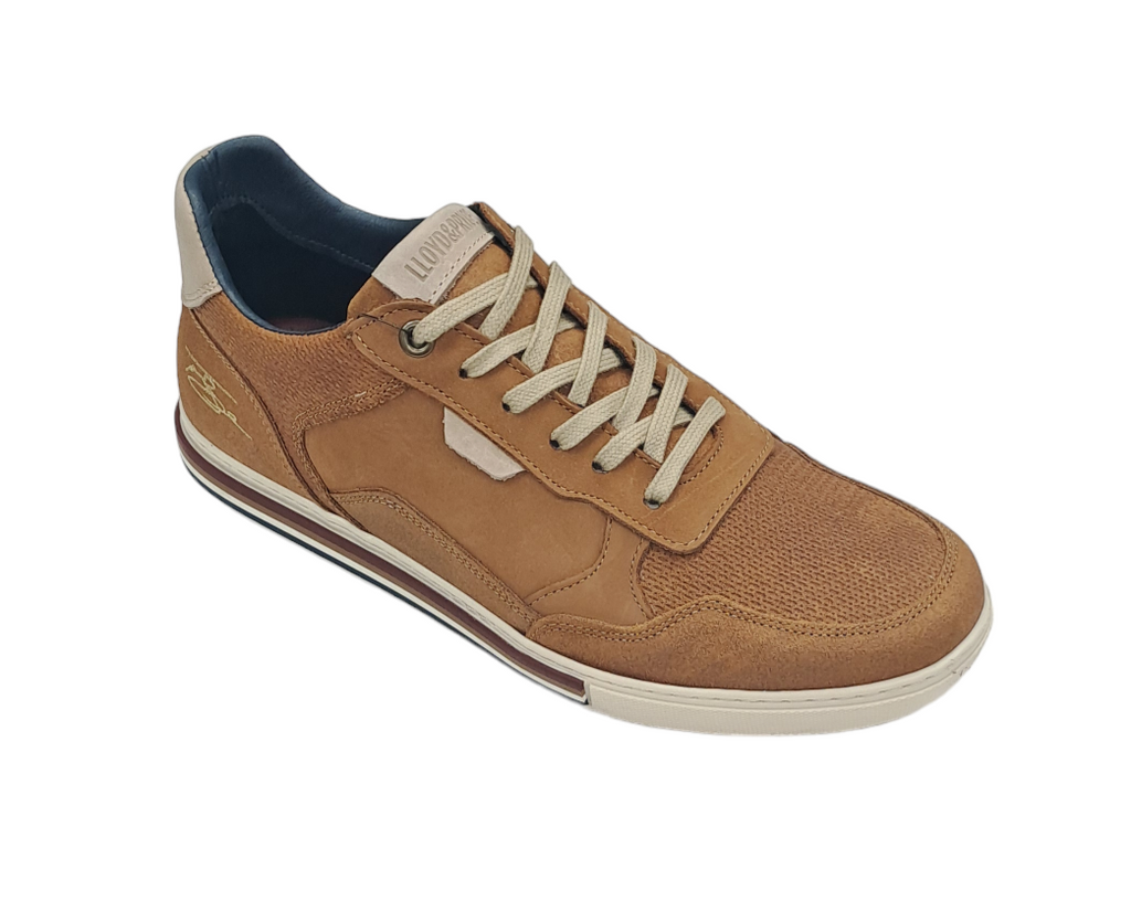 Lloyd & Pryce Loughman Casual Trainer - Umber