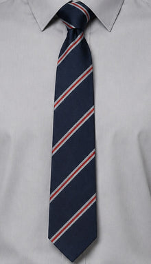 Mulroy College School Tie - Navy