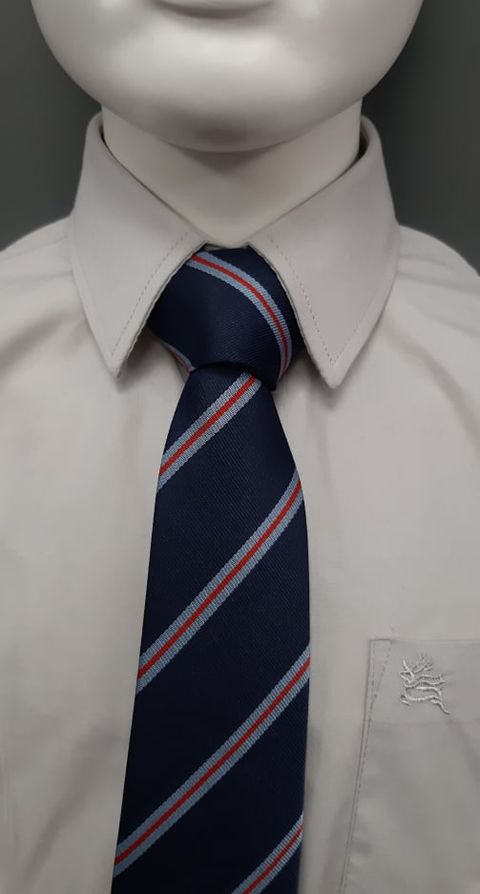 Mulroy College School Tie - Navy