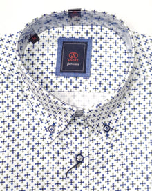Andre Beg Long Sleeve Casual Shirt - Sage